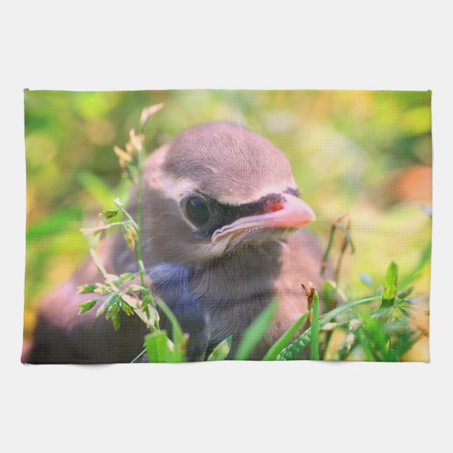 Yellow Cedar Waxwing Fledgling Bird   Kitchen Towel (Horizontal)