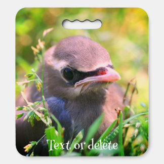 Yellow Cedar Waxwing Fledgling Bird Personalized Seat Cushion