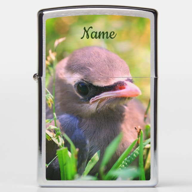 Yellow Cedar Waxwing Fledgling Bird Personalized Zippo Lighter (Front)