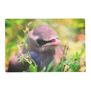 Yellow Cedar Waxwing Fledgling Bird Placemat