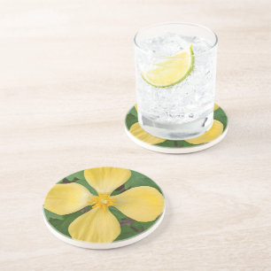 Yellow Celandine Poppy Floral Coaster
