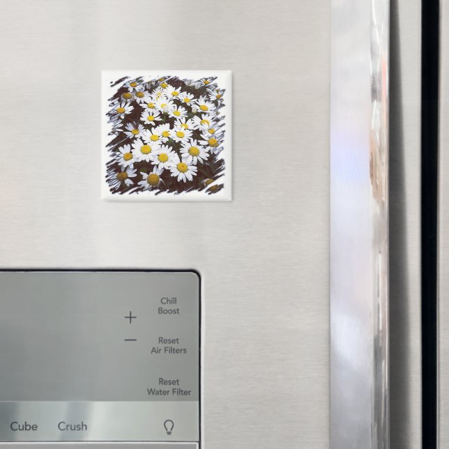 Yellow Center White Shasta Daisies Photograph Magnet (In Situ (Fridge))