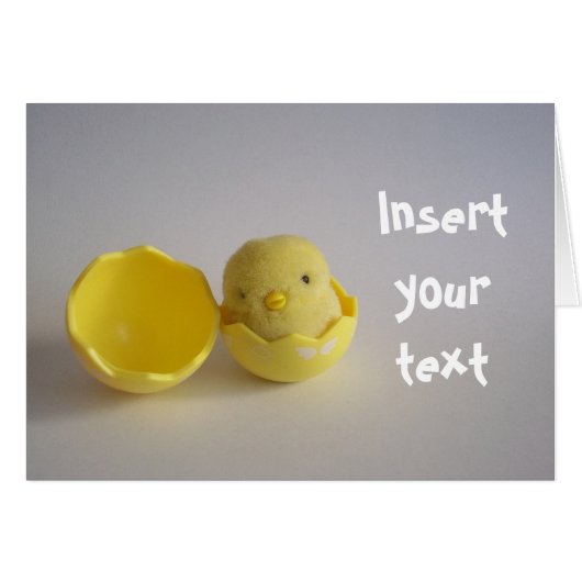 Yellow Chick Card (Front Horizontal)