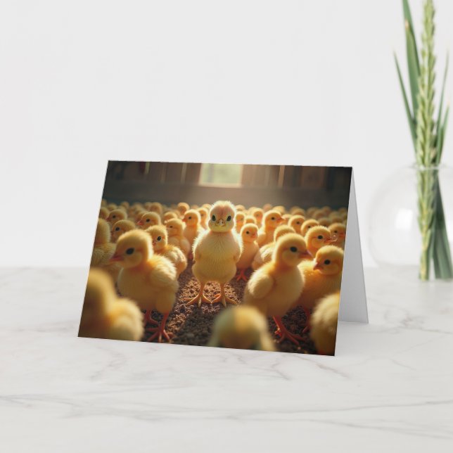Yellow Chicks In a Barn For Birthday Card (Front)