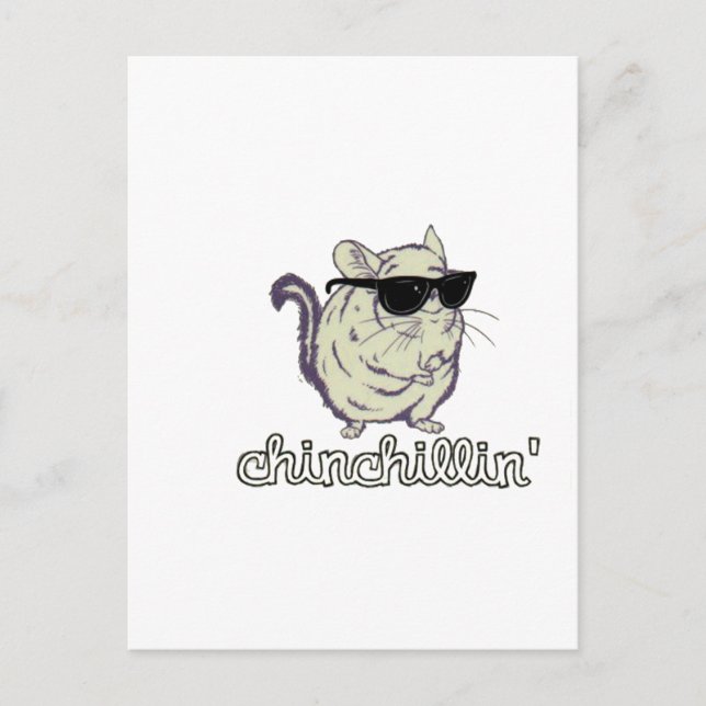 Yellow Chinchillin Chinchilla Postcard (Front)