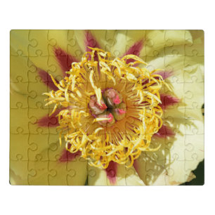 Yellow Chinese peony flower Postcard Ceramic Ornam Jigsaw Puzzle