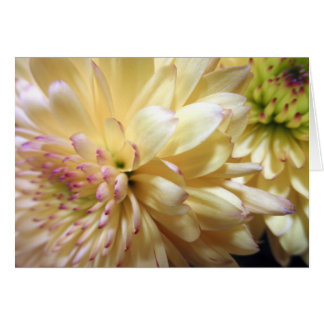 Yellow Chrysanthemum Flower Mums Flowers Photo Cards