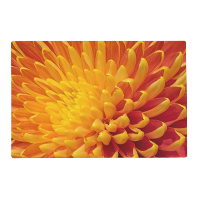 Yellow Chrysanthemum Laminated Placemat (Front)
