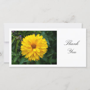 Yellow Chrysanthemum - Thank You Card