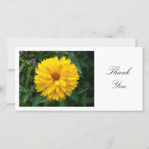 Yellow Chrysanthemum - Thank You Card