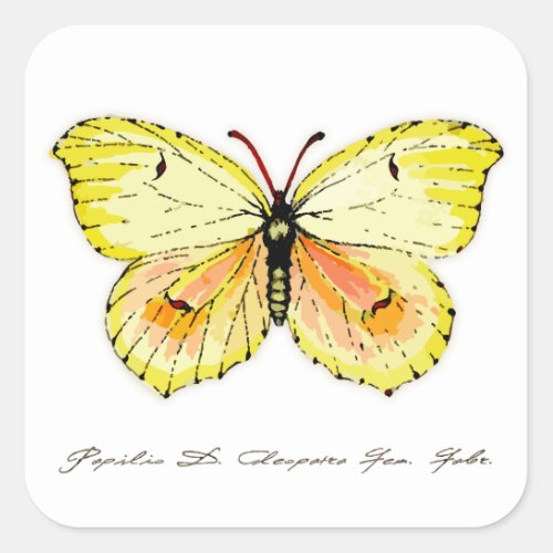 Yellow Cleopatra Butterfly Square Sticker