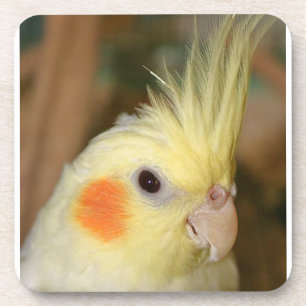 Yellow Cockatiel Drink Coaster