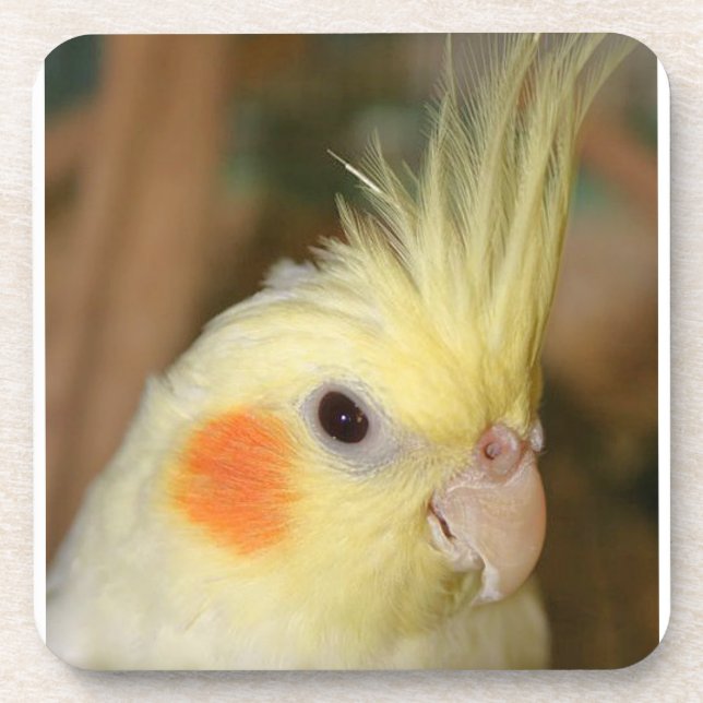 Yellow Cockatiel Drink Coaster (Front)