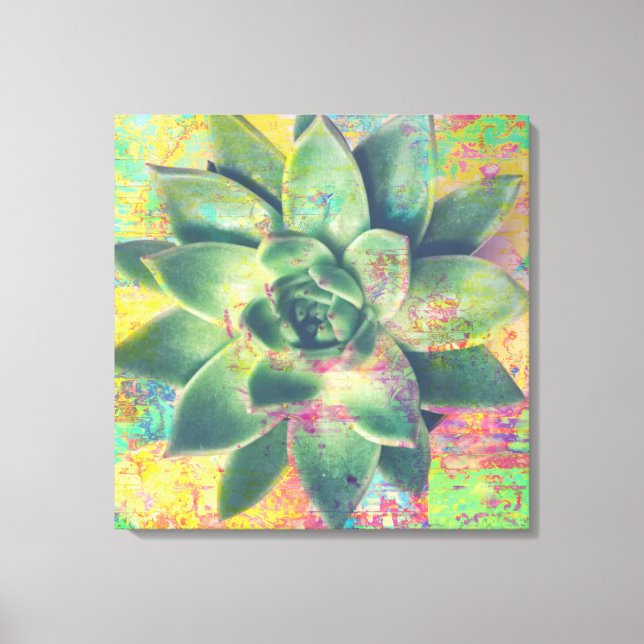 Yellow Color Patch Succulent Canvas Art (Front)