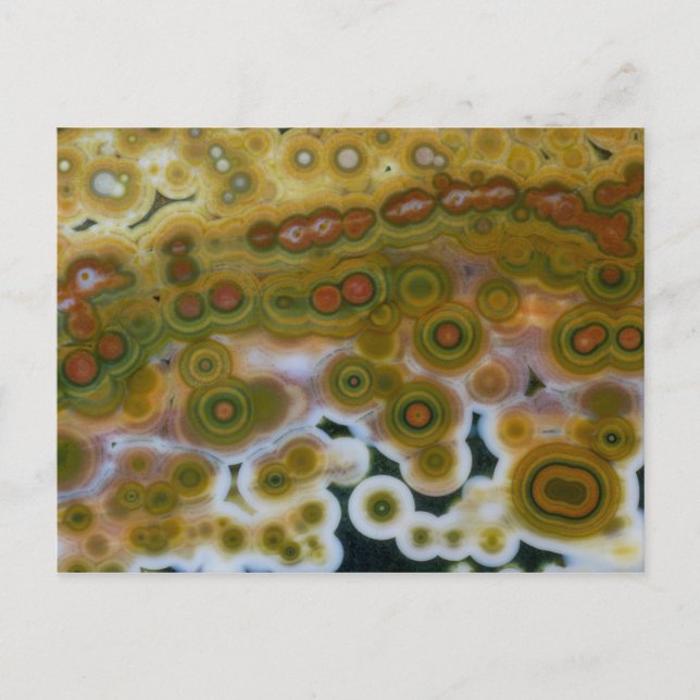 Yellow Colored Ocean Jasper Postcard (Front)