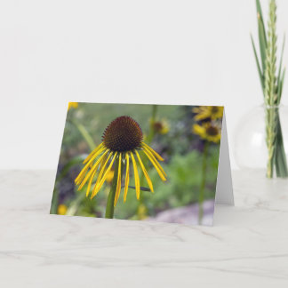 Yellow Coneflower Blank Note Card
