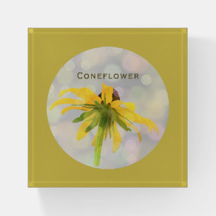 Yellow Coneflower on Old Gold Floral Paperweight