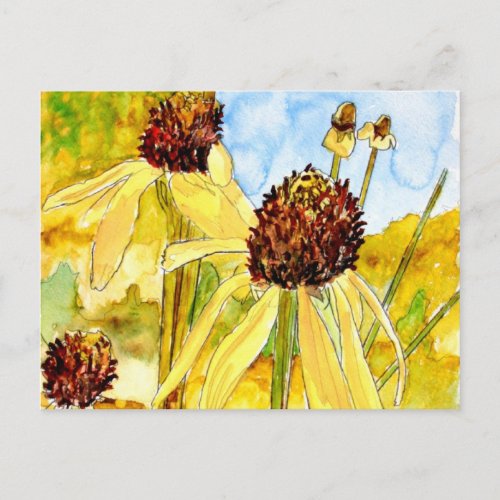 yellow coneflower post cards