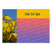 Yellow Coneflowers Floral Photo Card (Front Horizontal)