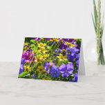 Yellow Coreopsis and Purple Violas Colorful Floral Card