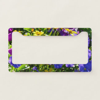Yellow Coreopsis and Purple Violas Colorful Floral License Plate Frame