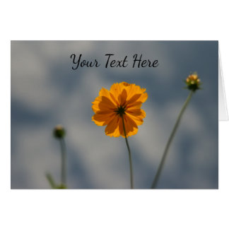 Yellow Coreopsis Cards