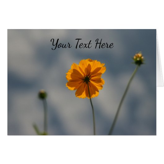 Yellow Coreopsis Cards (Front Horizontal)