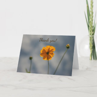 Yellow Coreopsis Thank You Card