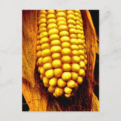 Yellow Corn Cob Husks Cornsilk Good Harvest Postcard