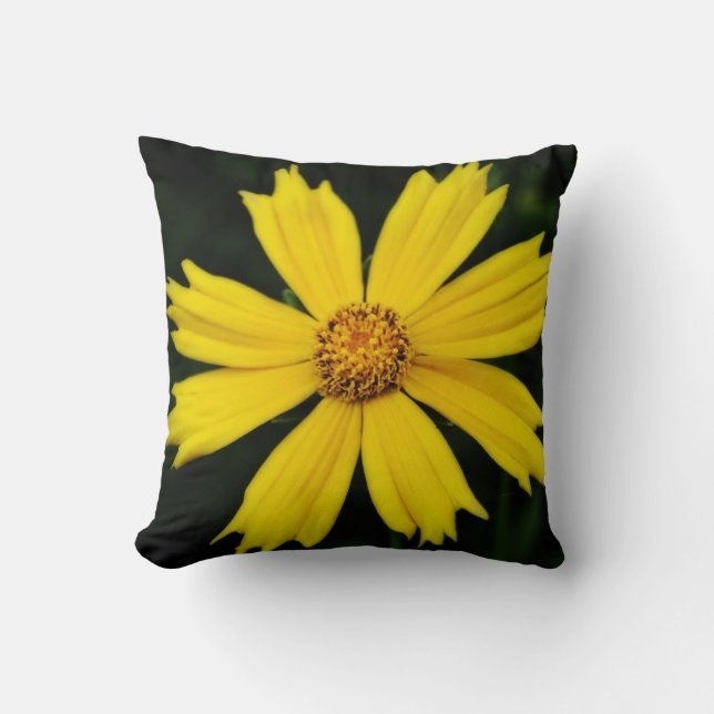 Yellow Cosmos Flower Close-up Throw Pillow (Front)