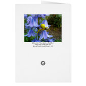 Yellow Crab / Flower Spider Cards (Back)