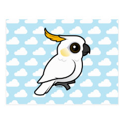 Yellow-crested Cockatoo (crest down) Postcard