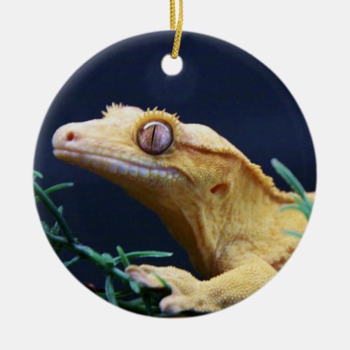 Yellow Crested Gecko Resting Ceramic Ornament