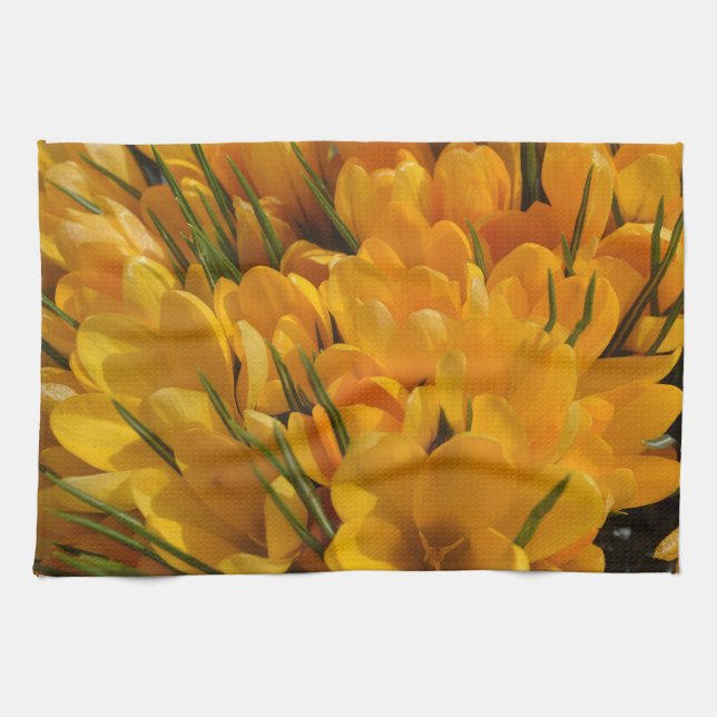 Yellow Crocus flavus - Golden Yellow Flowers  Door Kitchen Towel (Horizontal)