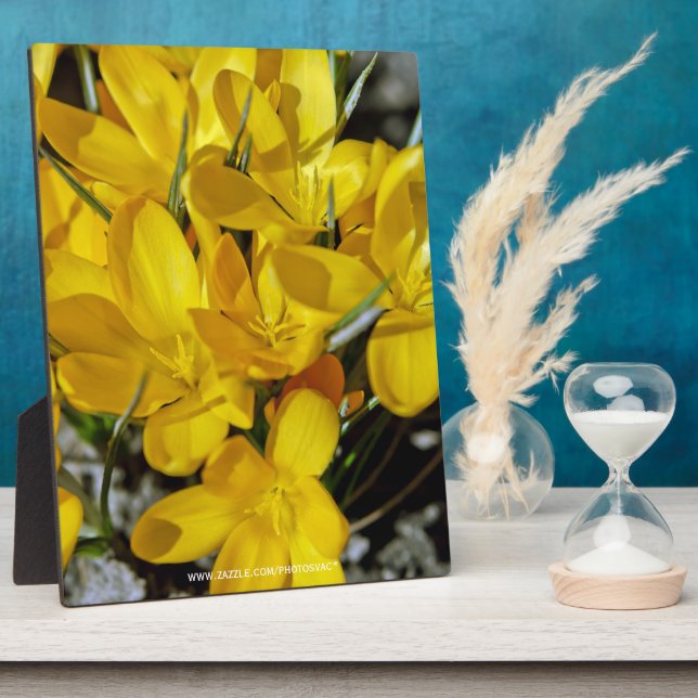 Yellow Crocus Flowers Plaque (Side)