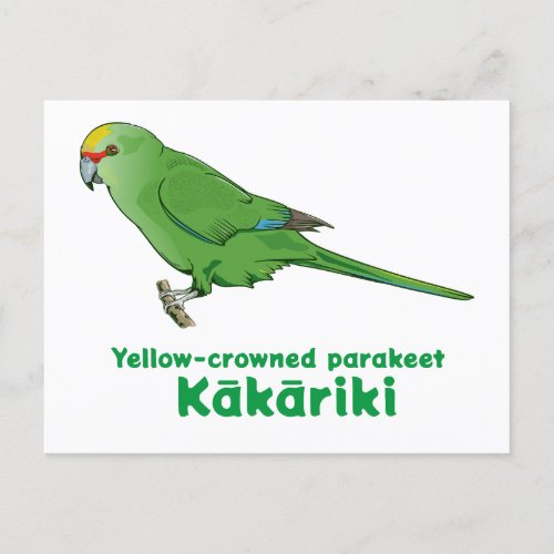Yellow Crowned Kakariki Postcard