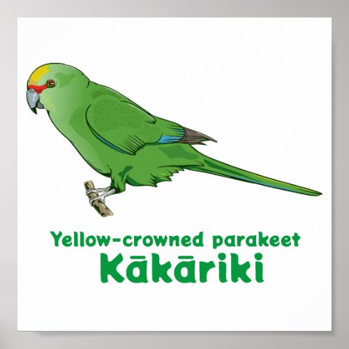 Yellow Crowned Kakariki Poster