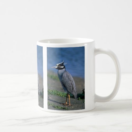Yellow_crowned Night Heron Coffee Mug