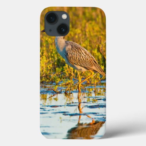 Yellow_Crowned Night_Heron Nyctanassa Violacea iPhone 13 Case