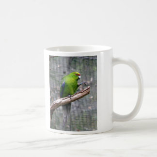 Yellow-crowned Parakeet Coffee Mug