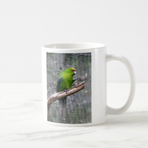 Yellow_crowned Parakeet Coffee Mug