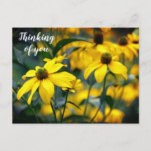 Yellow Cut Leaf Coneflower Thinking of you Postcard