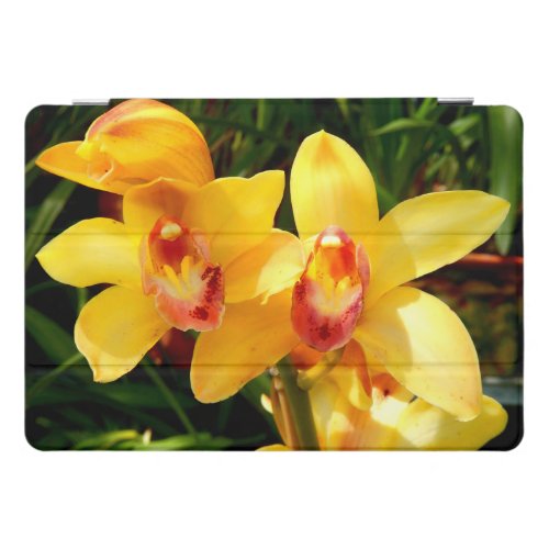 Yellow Cymbidium Orchid iPad Cover