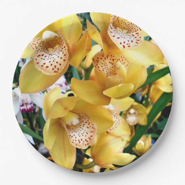 Yellow Cymbidium Orchids Paper Plates (Front)