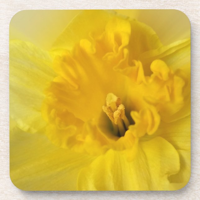 yellow daffodil beverage coaster (Front)