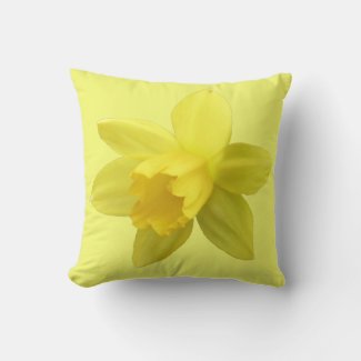 Yellow Daffodil Bloom Floral
