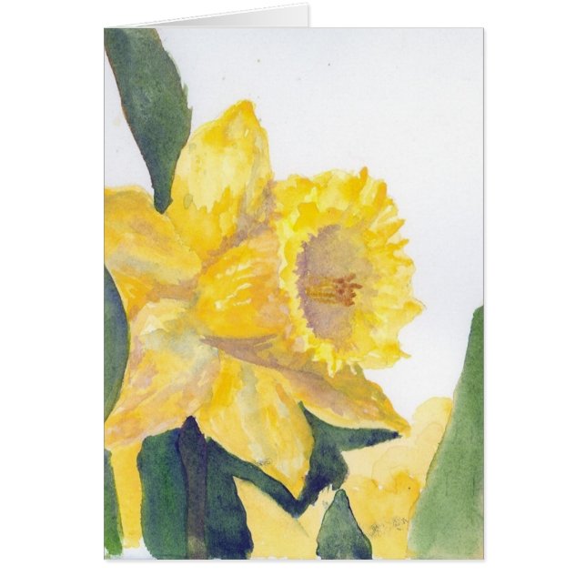Yellow Daffodil Cards (Front)