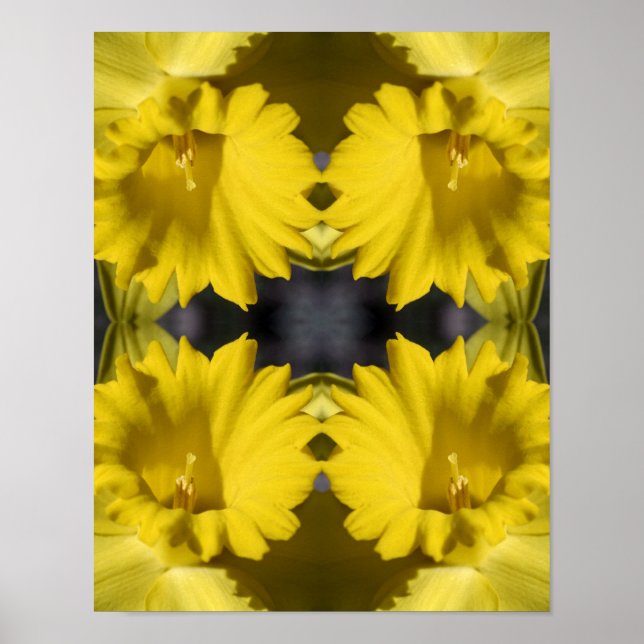 Yellow Daffodil Center Abstract  Poster (Front)