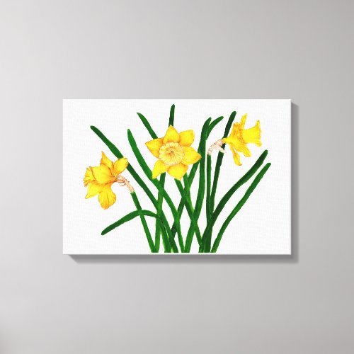 Yellow Daffodil Floral Watercolor Painting Canvas Print