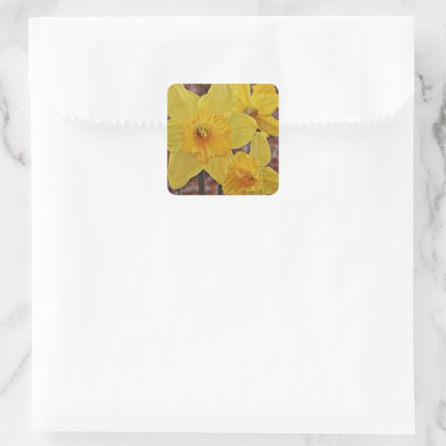 Yellow Daffodil Flower Art Sticker (Bag)